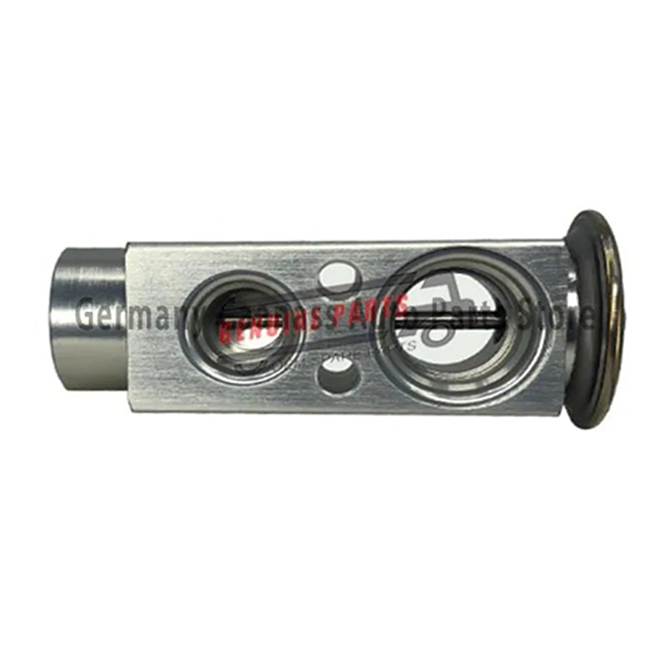 China Guangzhou Air Regulating Expansion Valve 0038307384 For MERCEDES-BENZ Truck Parts